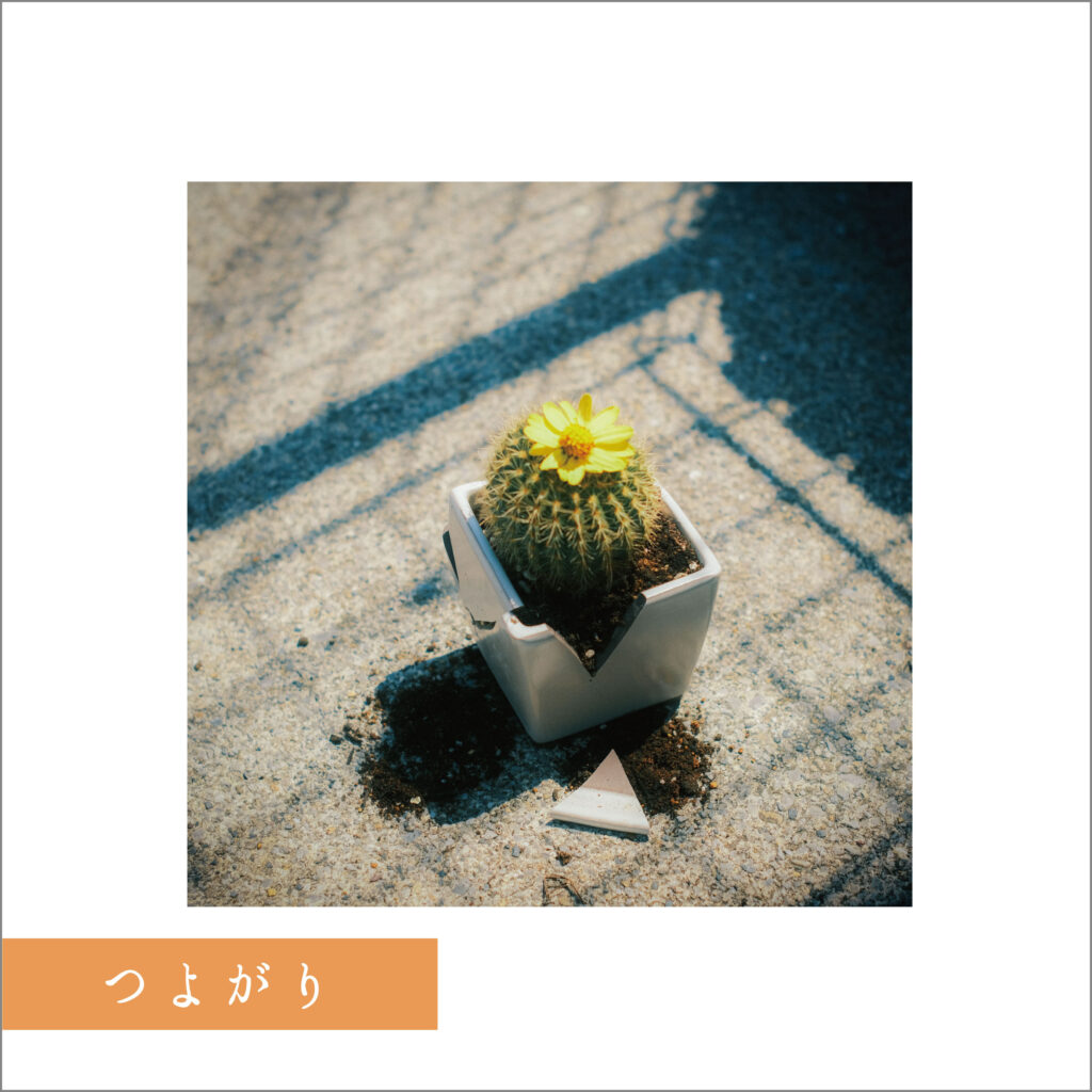 さとう TSUYOGARI_FIX_FL-1024x1024.jpg